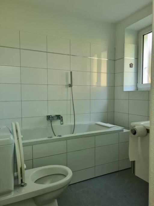 Gartenwohnung Im Zentrum Von Vira/gamborogno Apartamento *