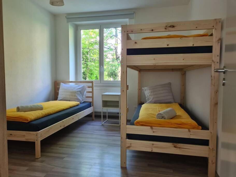 Gartenwohnung Im Zentrum Von Vira/gamborogno Appartement