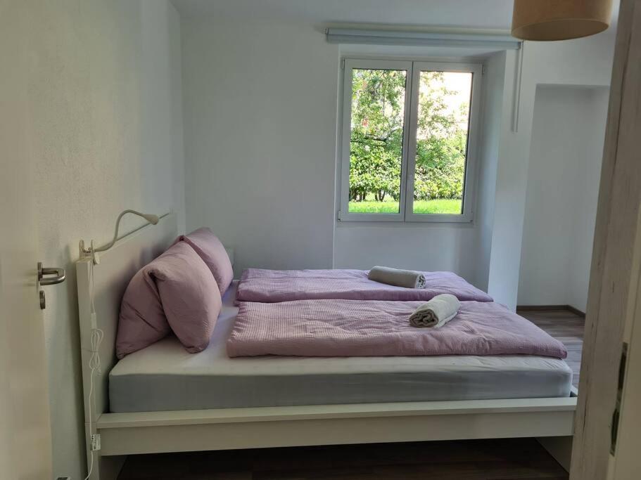 Gartenwohnung Im Zentrum Von Vira/gamborogno Gambarogno