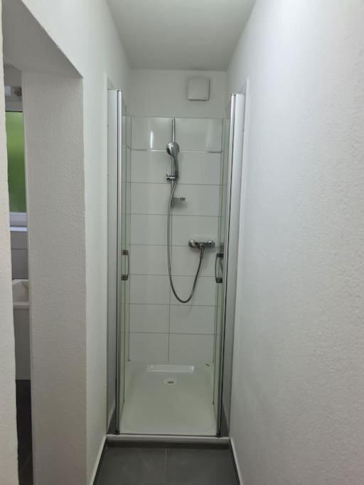Gartenwohnung Im Zentrum Von Vira/gamborogno Appartement Gambarogno